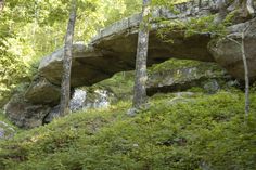 a large rock formation in the middle of a forest