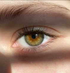 Green Brown Eyes, Yellow Green Eyes, Brown Eyes Aesthetic, Eye Color Chart, Beautiful Eyes Color, Eyes Color