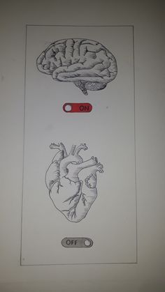 a drawing of a human heart and a brain on a white sheet with red marker