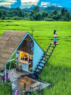 a woman standing on top of a ladder next to a small house in the middle of a field