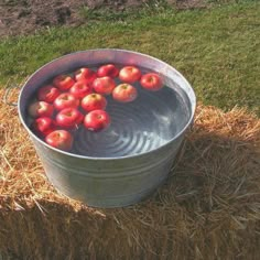 a metal bucket filled with apples on top of hay