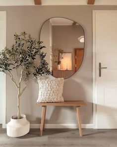 a mirror sitting on the wall next to a wooden bench with a plant in it