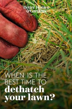 a baseball mitt laying in the grass with text that reads, when is the best time to dehatch your lawn?