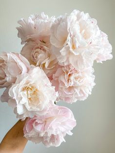 a hand holding a bunch of pink peonies in it's left arm