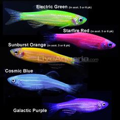 an iphone screen showing different types of fish