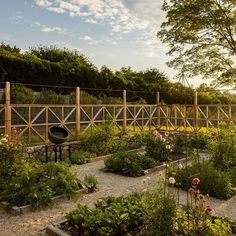 a garden with lots of flowers and plants growing in the ground next to a wooden fence