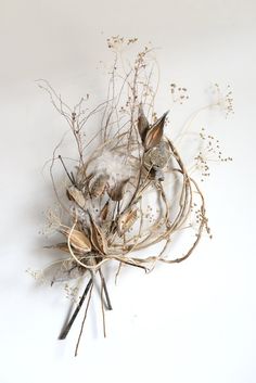 dead flowers and twigs on a white background