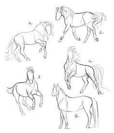 horses are shown in this drawing lesson