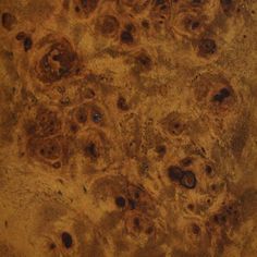 the surface of an old tree trunk with holes and circles on it's bark