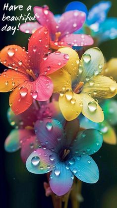 colorful flowers with water droplets on them and the words have a beautiful day written below