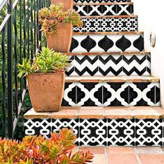 some potted plants are sitting on the steps