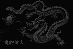 a black and white image of a dragon with chinese writing on the front, against a dark background