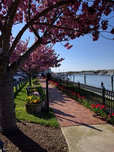 the walkway is lined with blooming trees and flowers along the water's edge