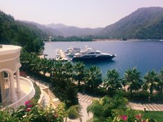 a cruise ship is docked in the water next to palm trees and other tropical vegetation