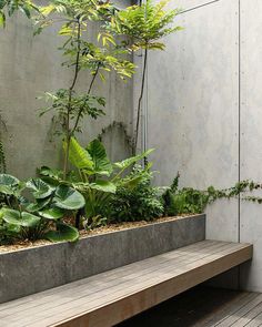 a wooden bench sitting on top of a hard wood floor next to a planter