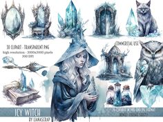 the wizard's collection is featured in this graphic art work, which includes an owl and