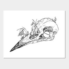 a black and white drawing of a bird's skull