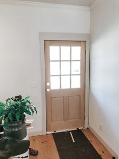 a door is being installed in the corner of a room next to a potted plant