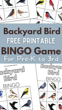 the backyard bird printable game for prek - to - 3rds is shown