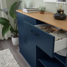 an open drawer in a blue cabinet next to a white rug and potted plant