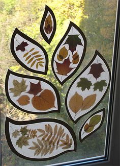 a glass window with leaves and acorns on it in front of a tree