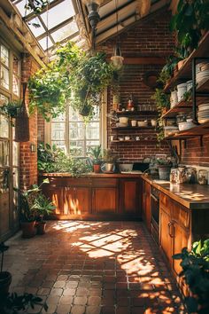 a kitchen filled with lots of potted plants