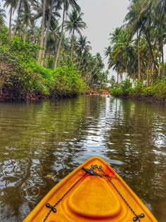 a yellow kayak in the middle of a river with palm trees on both sides