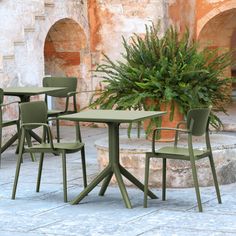 four chairs and a table in front of a potted plant on a patio area