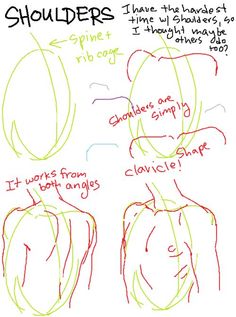 how to draw the head and shoulders