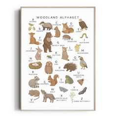 the woodland alphabet poster with animals and their names in brown, blue, green, white