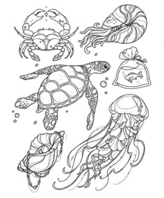 an adult coloring page with sea animals and jellyfishs