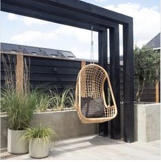 a hanging chair and potted plants on a wooden deck in front of a house