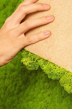 Easy to install natural moss tile panels Plaster Of Paris Wall, Interior Design Spaces, House In The Suburbs, Gardening At Home, Wall Moss, Forest Room, Reindeer Moss, Unique Interior Design, Moss Wall