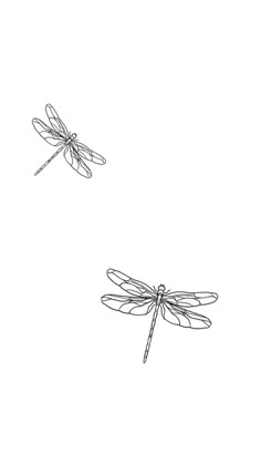 two dragonflies are flying in the sky