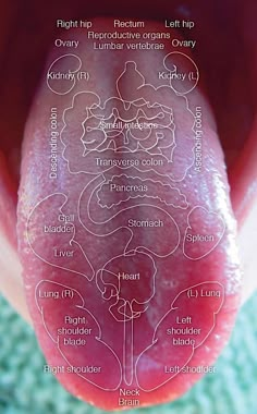 Punkty Spustowe, Natural Antifungal, Bolesti Chrbta, Hand Reflexology, Health Chart, Health Signs, Tongue Health