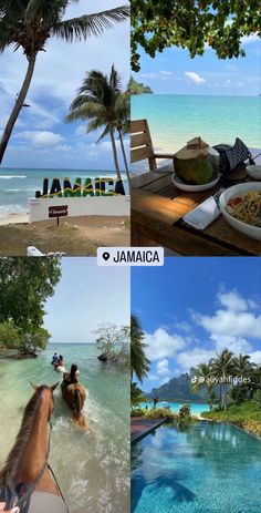 four different pictures with the words jamaica on them