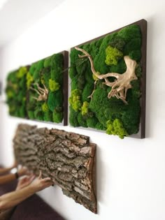 three pieces of wood are mounted to the wall with moss and gold leafy decorations