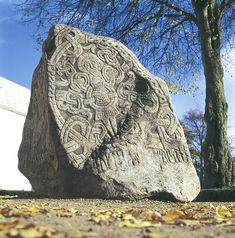 a large rock sitting next to a tree on top of a field covered in leaves