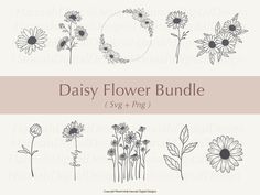 daisy flower bundle svg and png