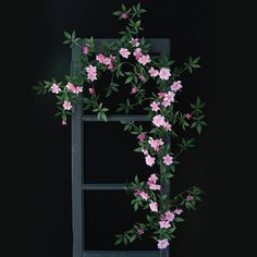 pink flowers are growing on the side of a window sill in front of a black wall