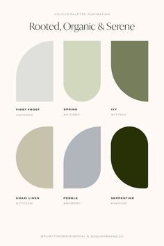 Rooted, organic and serene colour palette inspired by nature Earthy Greens Color Palette, Earthy Modern Color Palette, Cool Color Palette Colour Schemes, Business Colour Palette, Earthy Website Design, Goodnotes Palette, Green Brand Color Palette, Website Colour Palette, Clean Color Palette