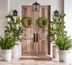 three potted plants are sitting in front of a wooden door with two wreaths on it