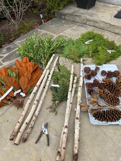 various branches and pine cones are laid out on the ground next to each other with pliers