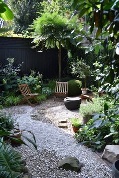 a small garden with chairs and gravel path