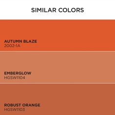 an orange color scheme with the words similar colors