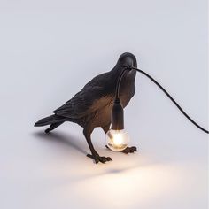 a black bird is holding a light bulb