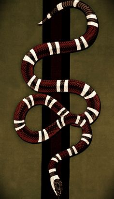 a red and white snake on a black striped background with the words,'don't