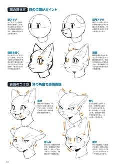 the instructions for how to draw an anime cat