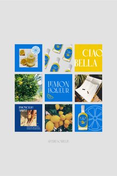 the cover of ciac bella's lemon liqueur, with images of lemons and bottles