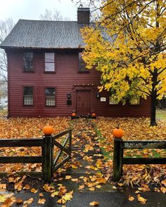 two pumpkins are sitting on the ground in front of a house with fall leaves